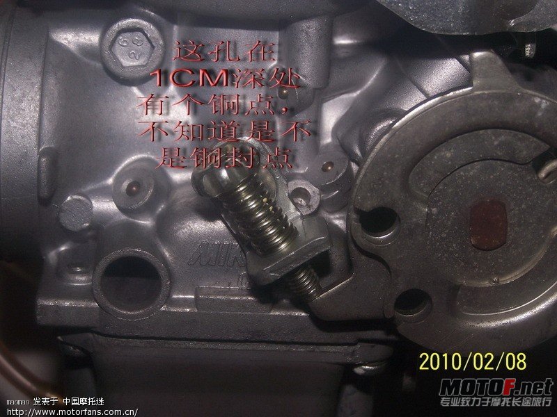 Dt1hnqTH62763.jpg