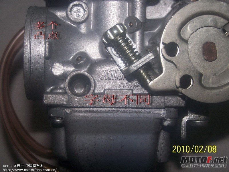 gnIrWl3FF8169.jpg