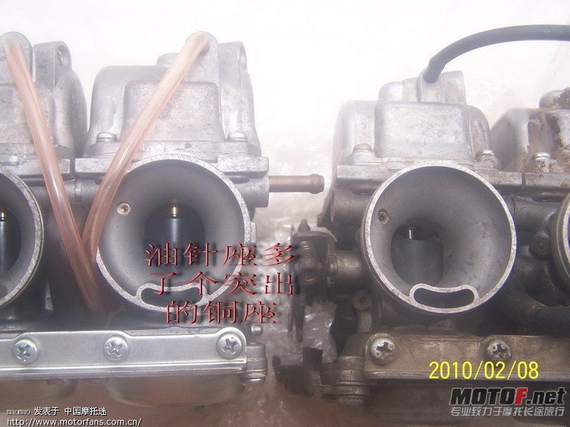 hSYy6UCOT8187.jpg