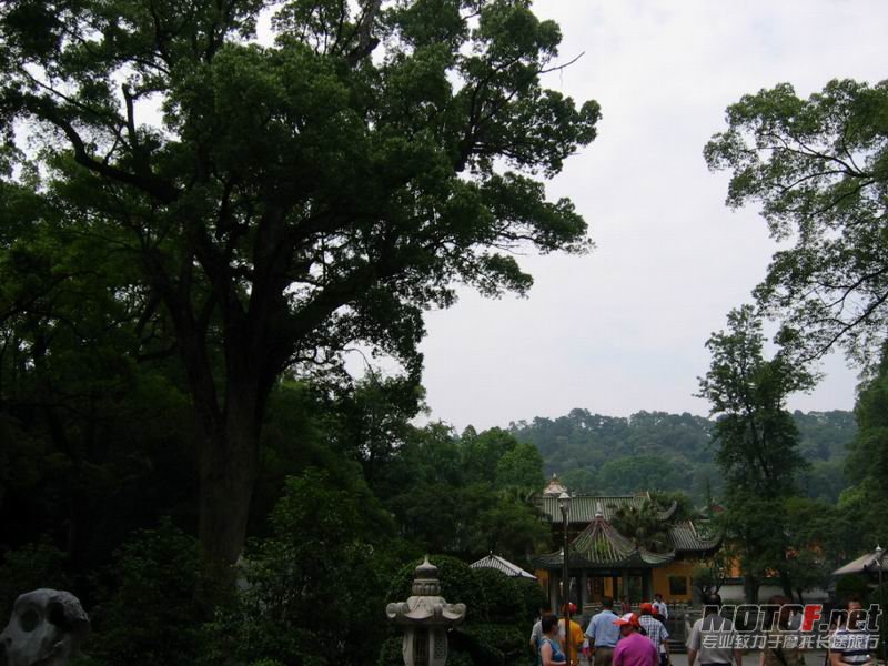 09.jpg
