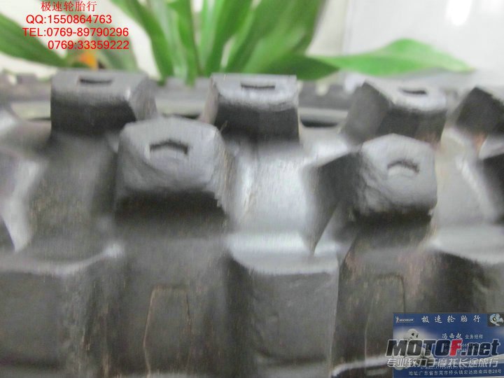 照片 097.jpg