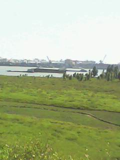IMG0030A.jpg