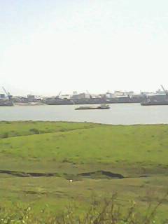 IMG0034A.jpg