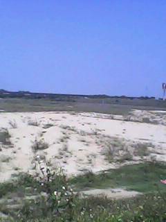 IMG0026A.jpg