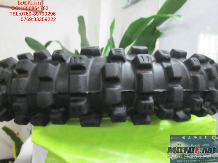 照片 295.jpg