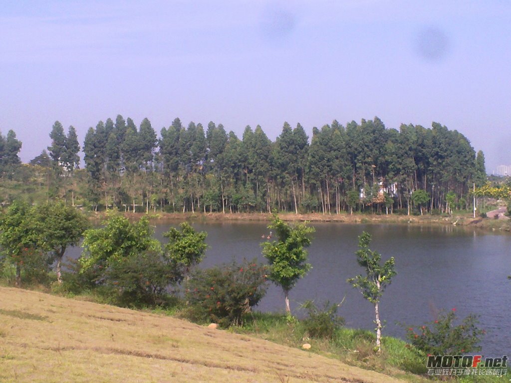 20111123284-1.jpg
