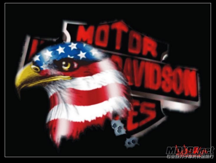 nEO_IMG_Harley-Davidson_logo_aigle_USA_Wallpaper_dv1sn[1].jpg