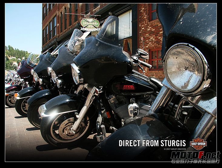 nEO_IMG_sturgis_wallpapers08[1].jpg