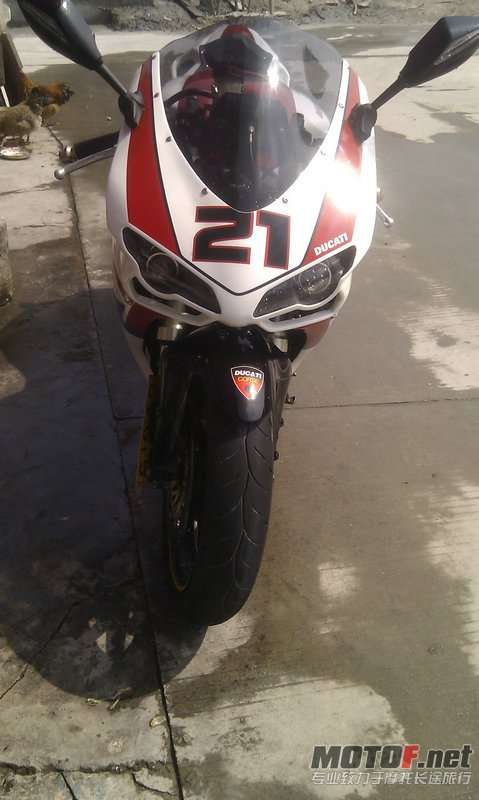 RVF35期