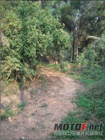35.jpg