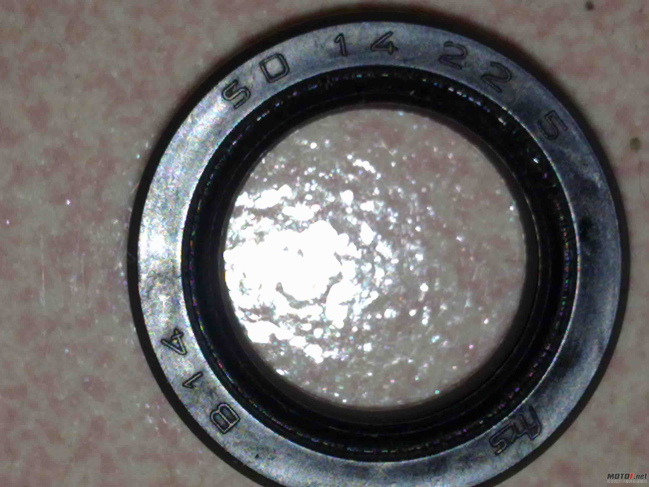 20111202226.jpg