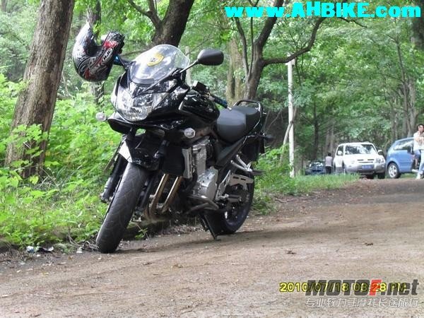 8_63_012fb86dbb35884[1].jpg