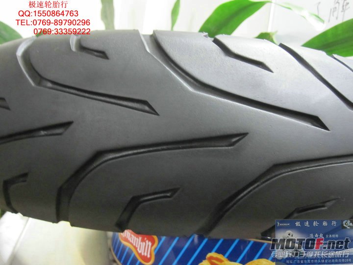照片 568.jpg