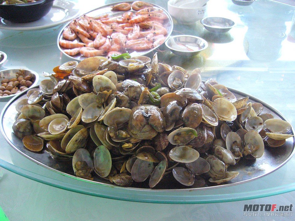 P1070545.JPG