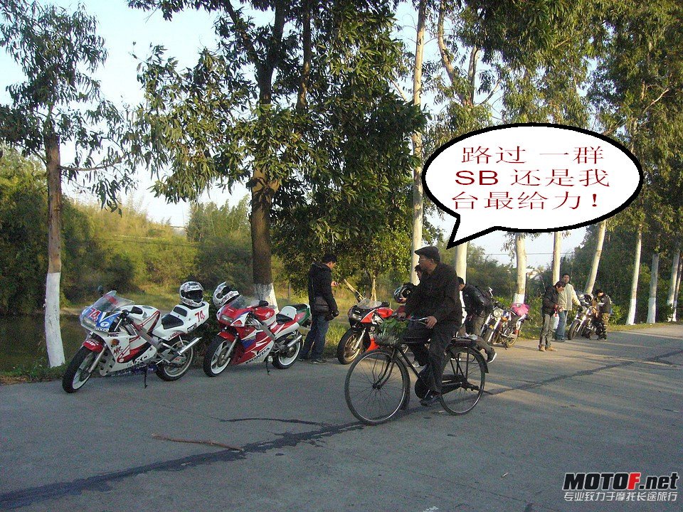 113031wackqc06xsck7czg.jpg