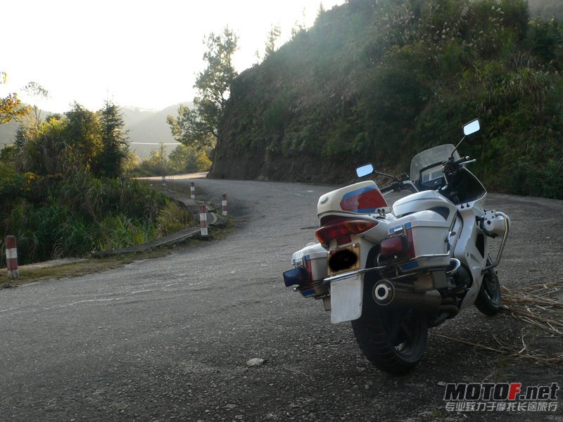 P1050331.jpg