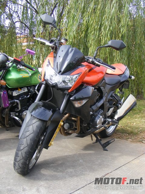 DSCF8019.jpg