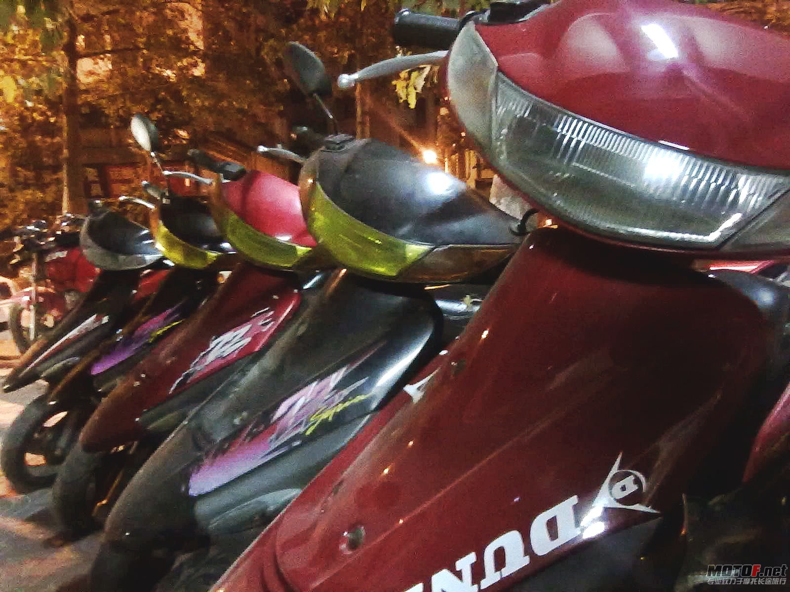 201112151795_conew1.jpg