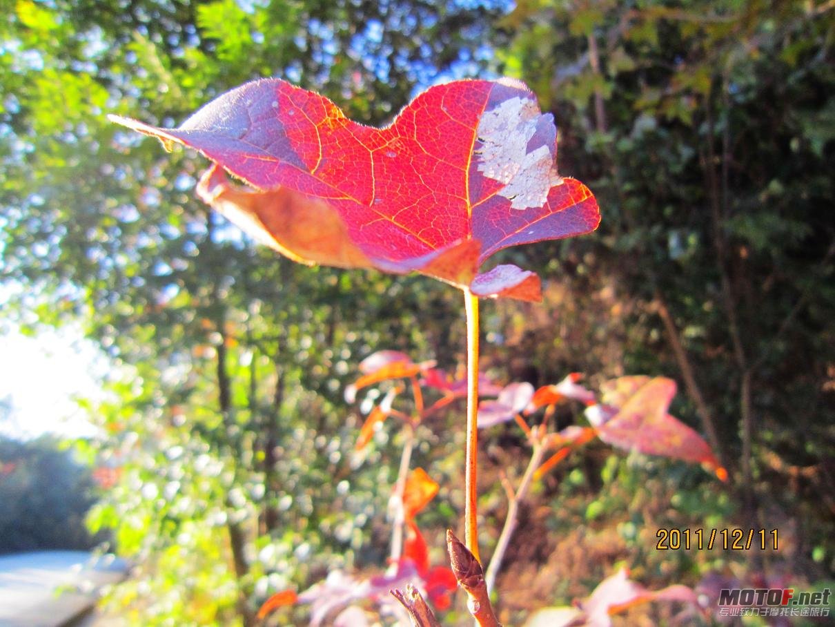 IMG_0389.JPG