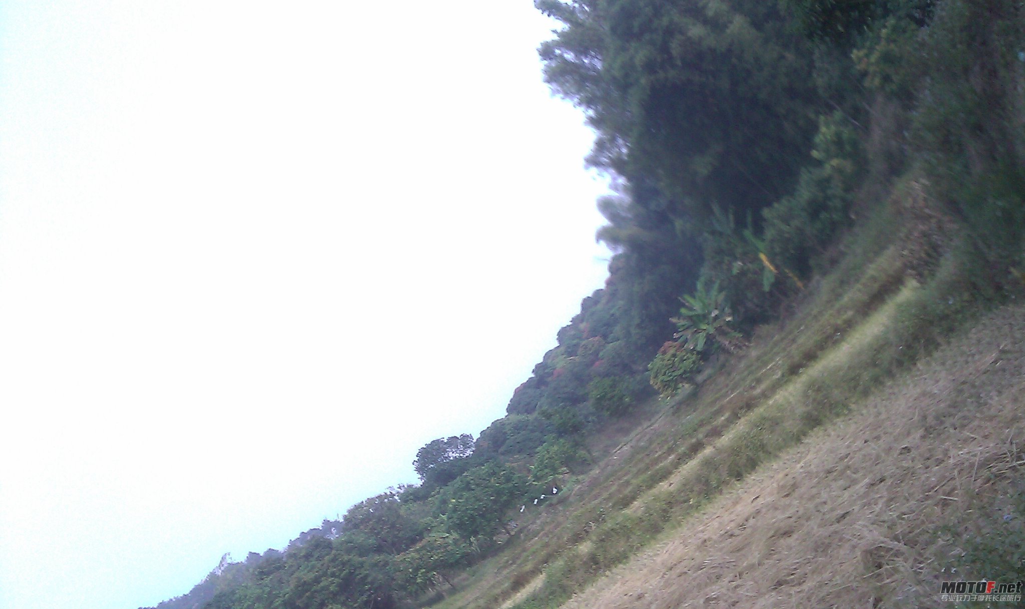 IMAG0068.jpg