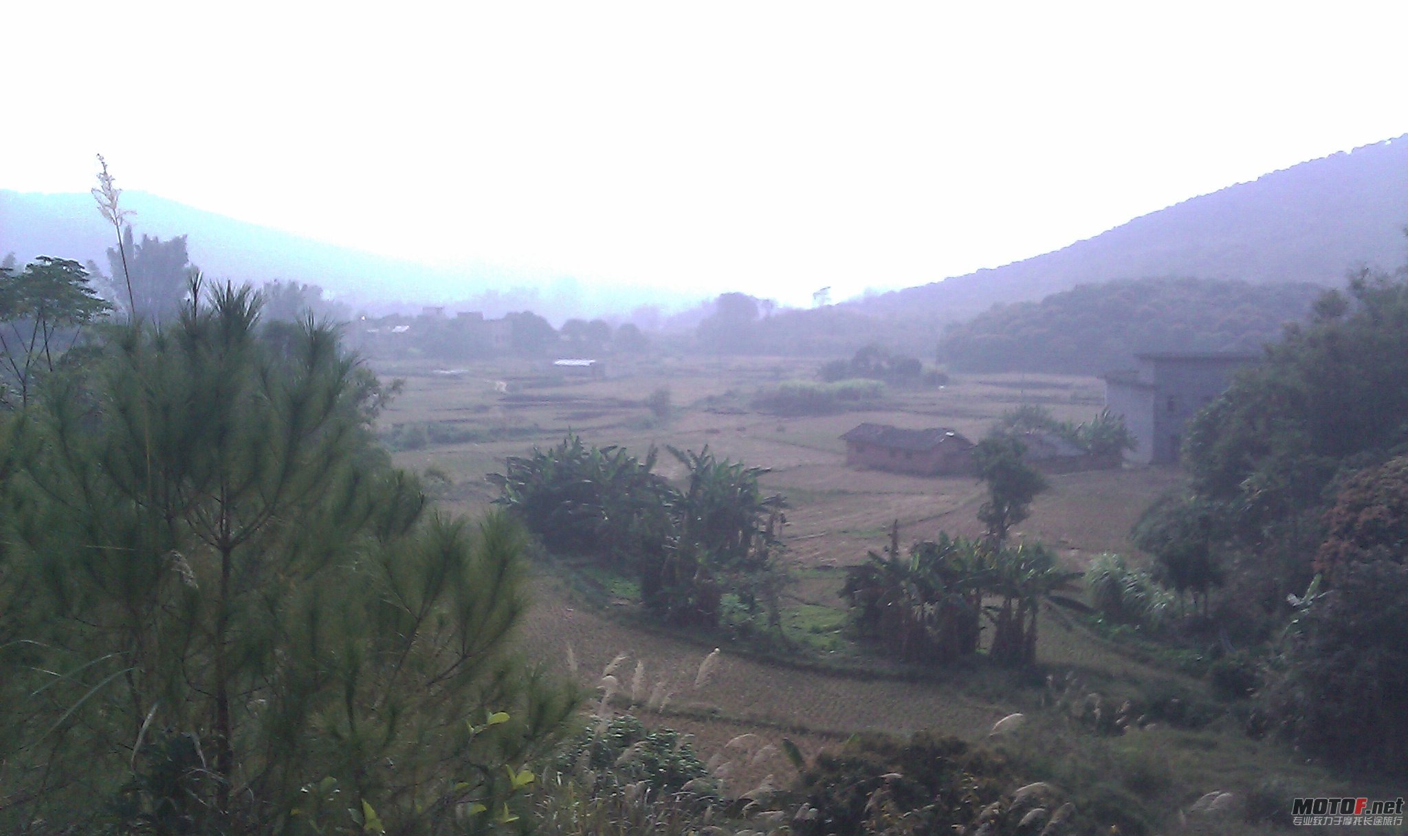 IMAG0094.jpg