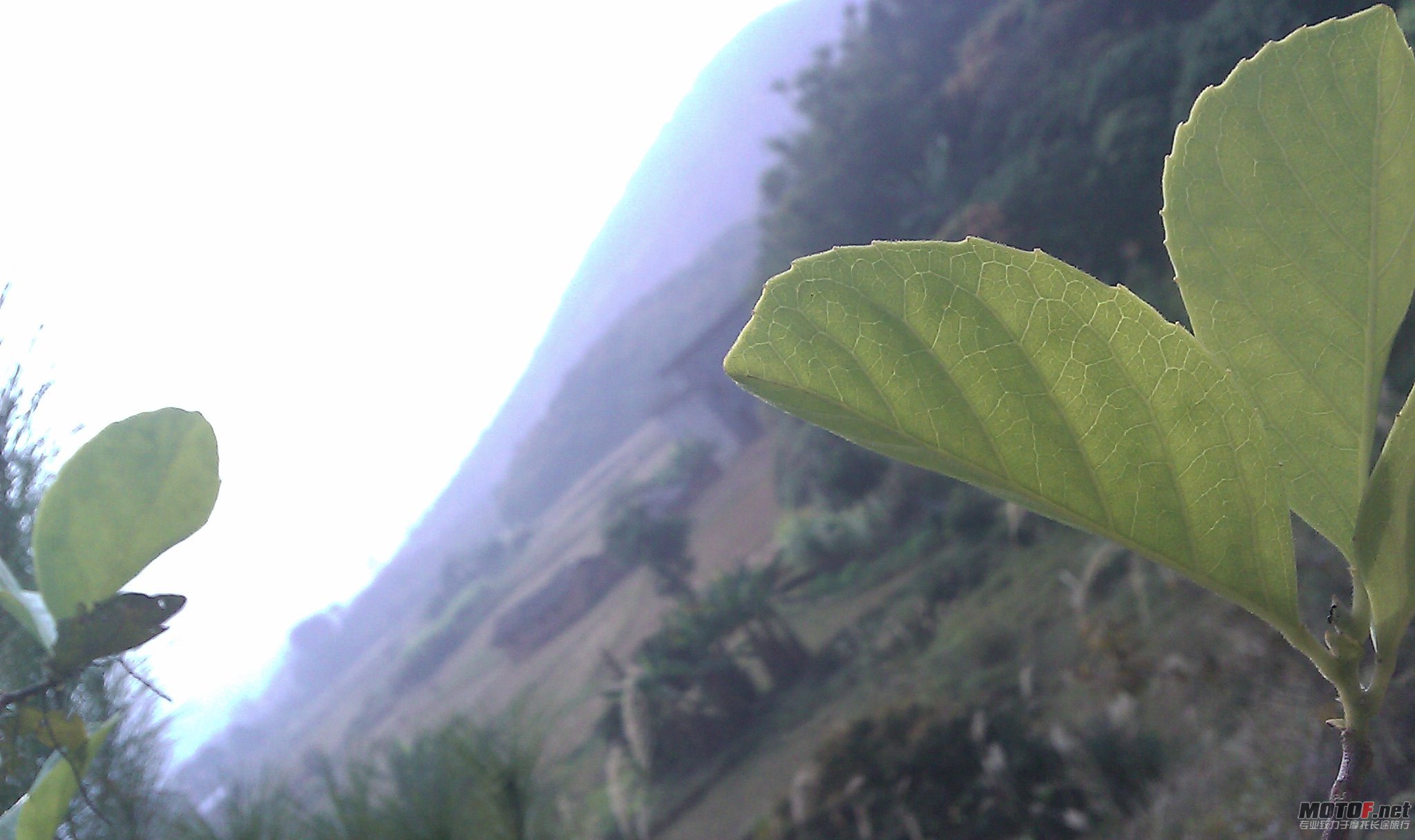IMAG0095.jpg