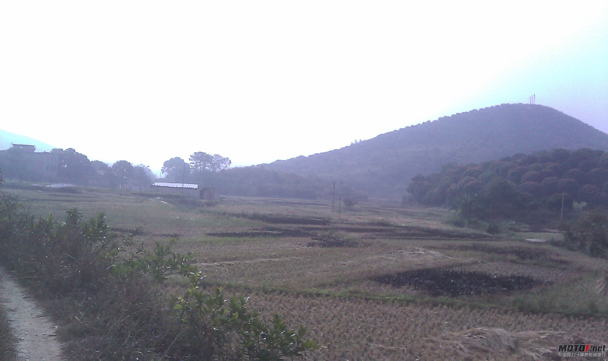 IMAG0071.jpg