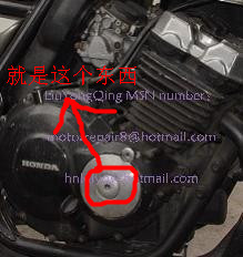 T1_10RXaVIXXcqHigW_024029.jpg_310x310_副本.jpg