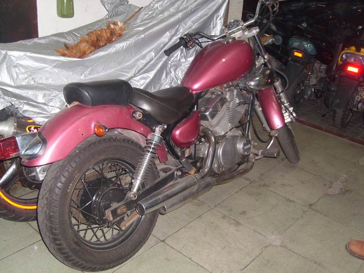 SL734780.JPG