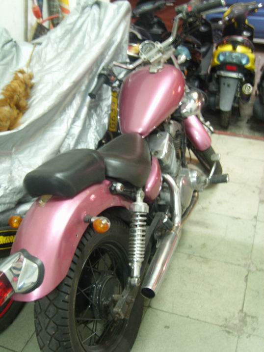 SL734783.JPG