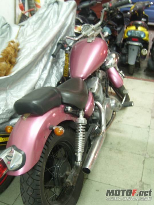 SL734783.JPG