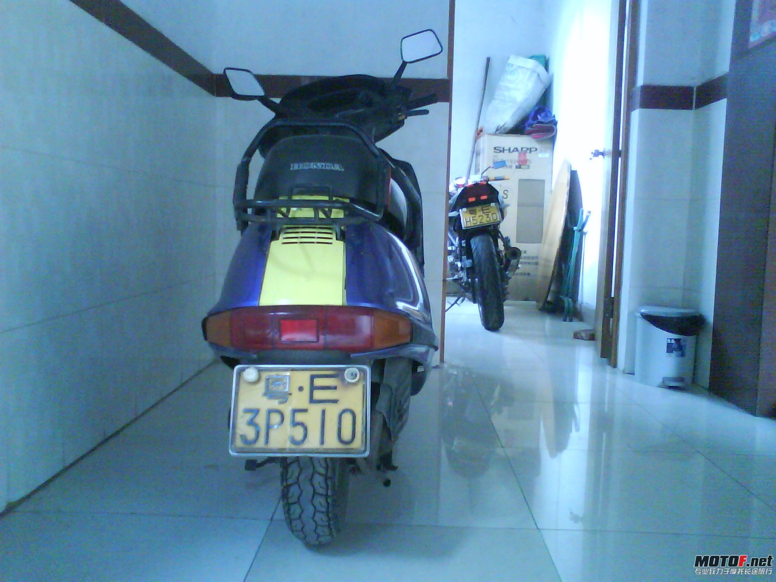 4545345.jpg