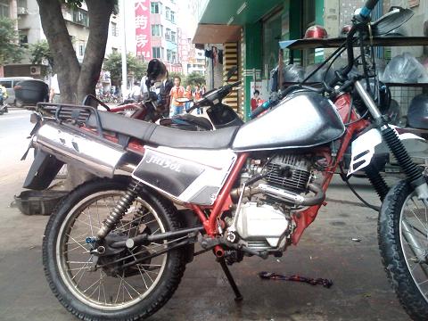 IMG0604A.jpg