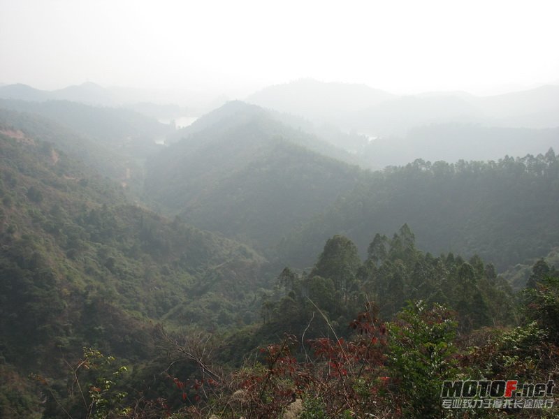 IMG_7763_调整大小.JPG