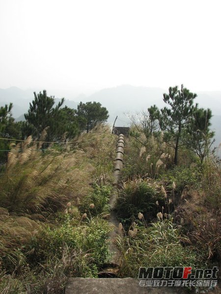 IMG_7773_调整大小.JPG