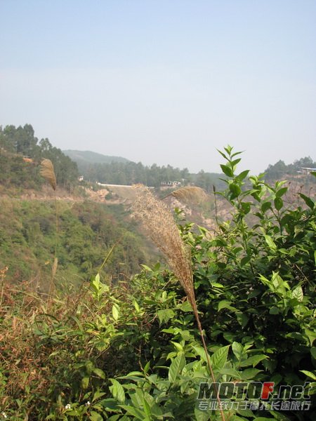 IMG_7775_调整大小.JPG