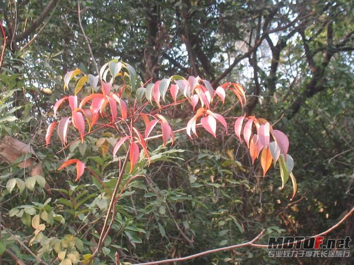 调整大小 照片 045.jpg