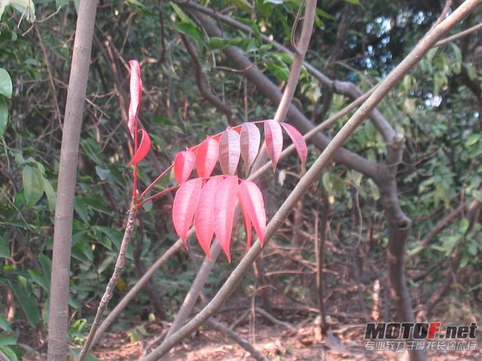 调整大小 照片 046.jpg
