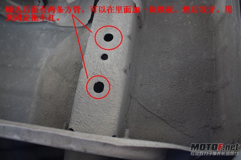 fly_8005.JPG