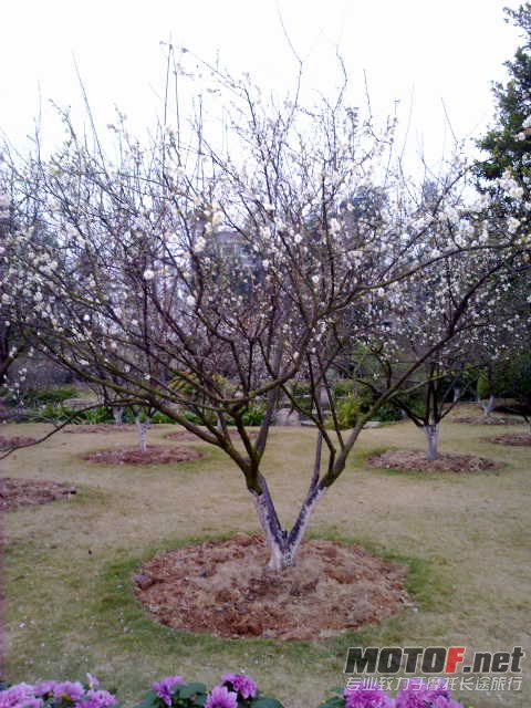 20120107701.jpg