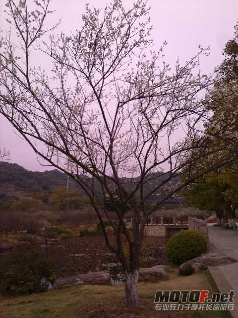 20120107702.jpg