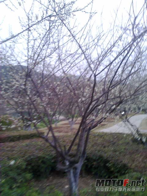 20120107705.jpg