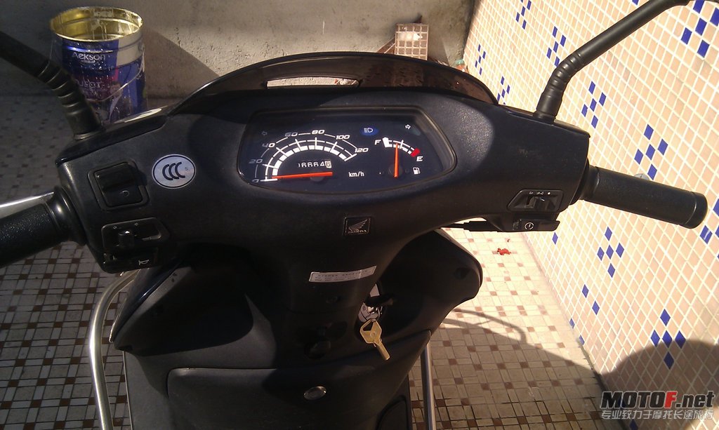 IMAG0484.jpg
