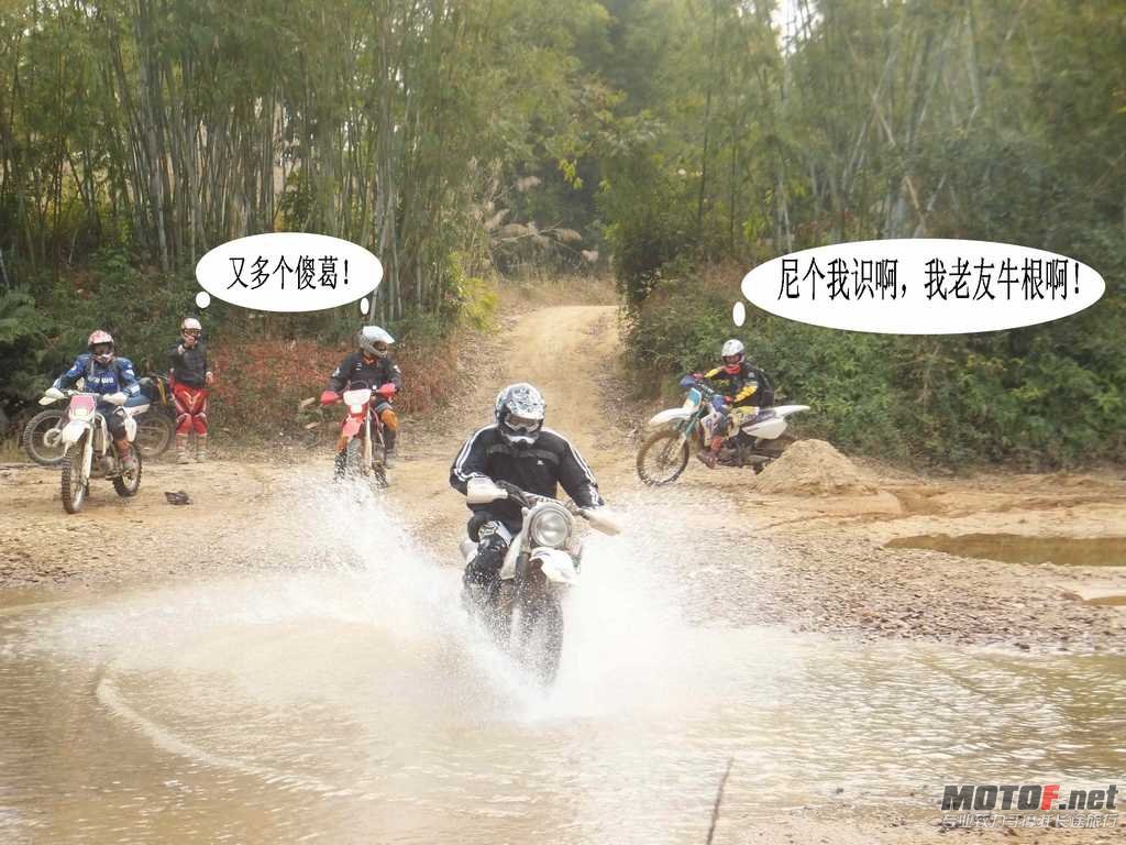 8.牛根过河.jpg