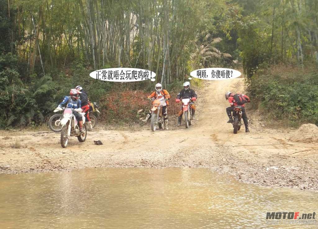 9.唔傻唔玩爬鸡.jpg