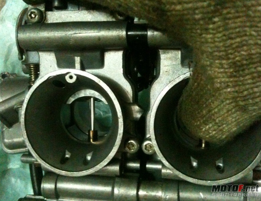 4235236.jpg