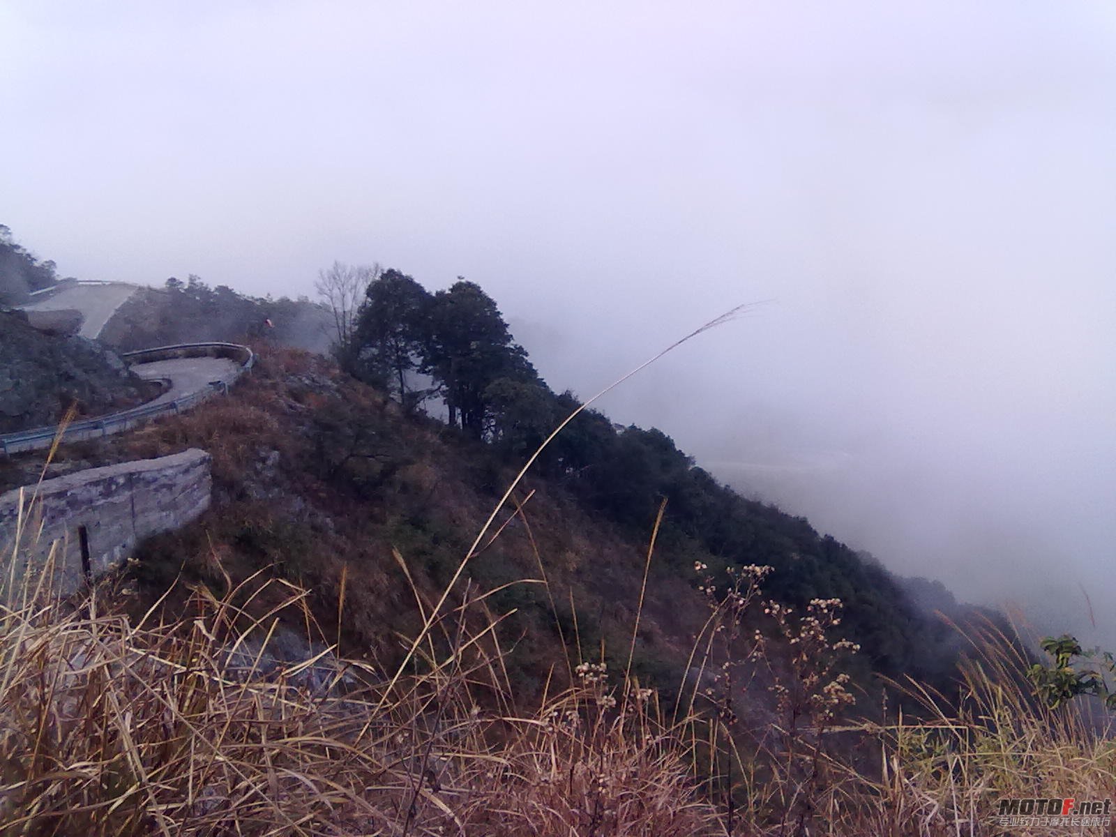 20120108436.jpg
