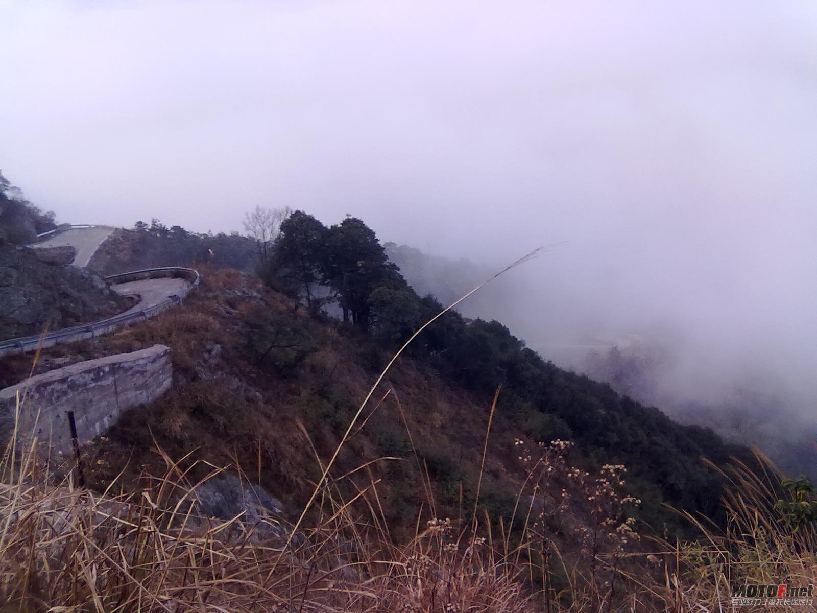 20120108435.jpg