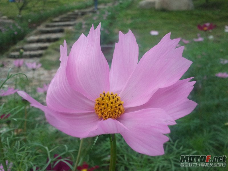 2011-10-02 12.22.37_副本.jpg
