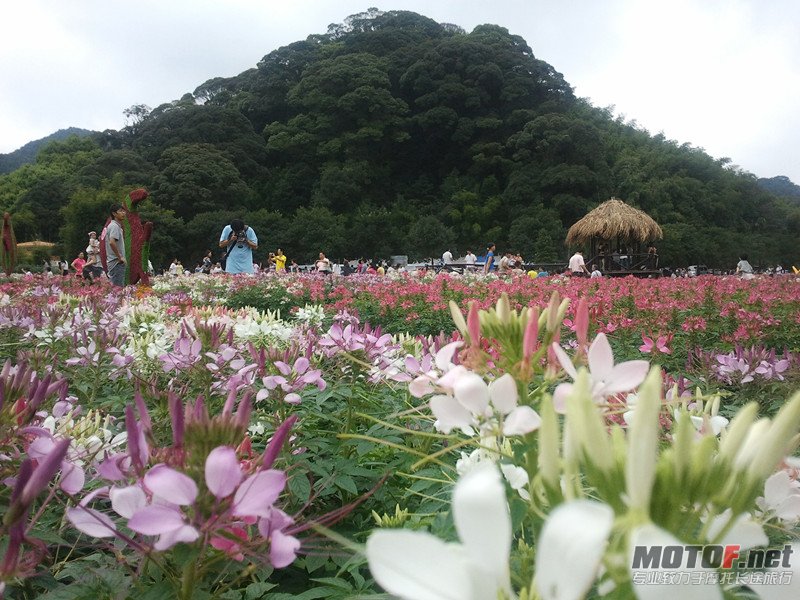 2011-10-02 14.29.10_副本.jpg